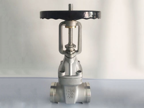 不锈钢沟槽闸阀2