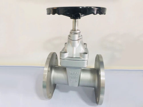 不锈钢暗杆闸阀1